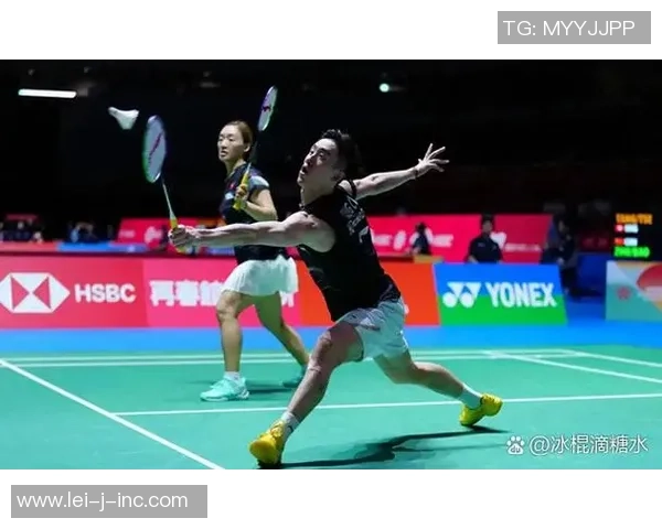 羽毛球战术揭秘：上海羽毛球队快攻策略的深度分析与实践探索