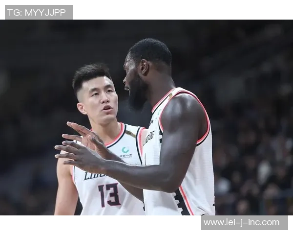 数据分析：南京篮球队的灵活性表现