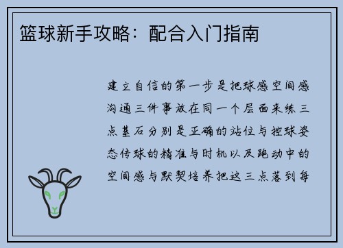 篮球新手攻略:配合入门指南
